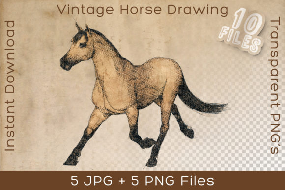Horse Vintage Animal Art Drawing: A Timeless Asset